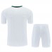 Liverpool FC Adult Terrace Icons White Soccer Kit 2025-26