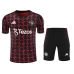 Manchester United Adult Pre Match Training Soccer Kit 2024-25