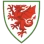 Wales National Team